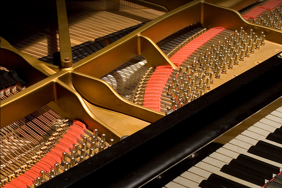 便攜鋼琴,便攜手卷鋼琴,便攜智能鋼琴,便攜折疊鋼琴,便攜鋼琴價(jià)格,特倫斯便攜鋼琴